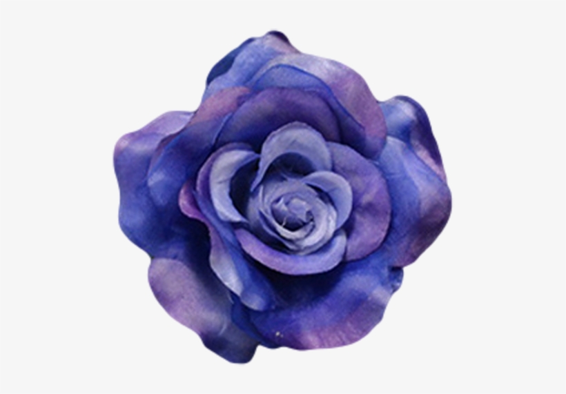 Navy Blue - Garden Roses, transparent png