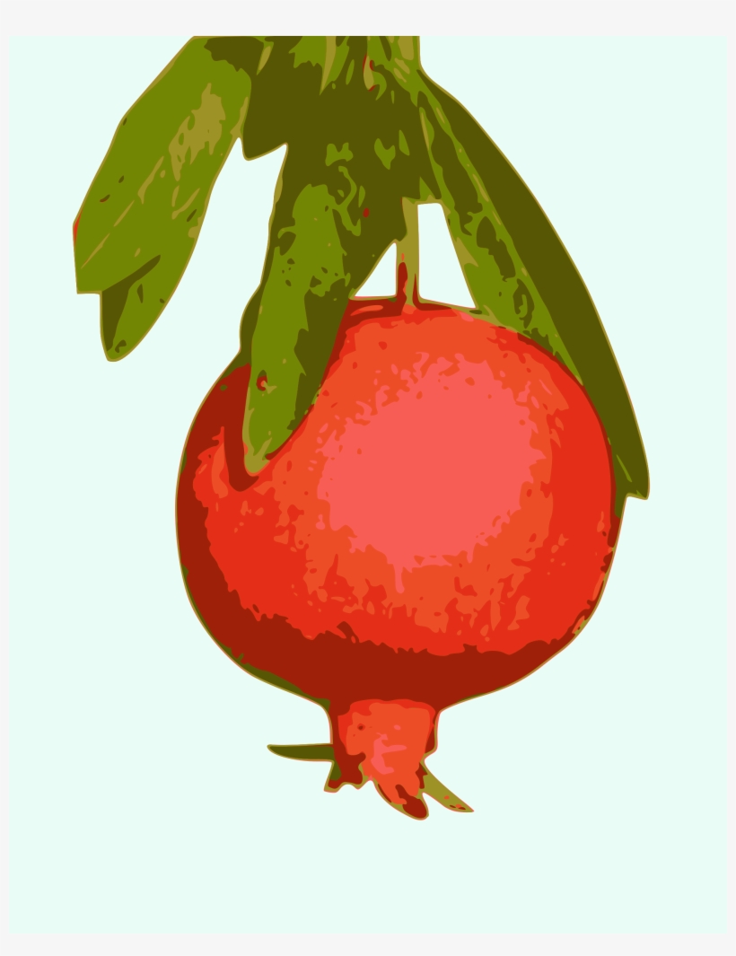Pomegranate Png, transparent png