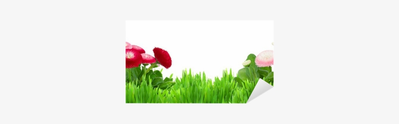 Green Grass With Daisy Flowers Border Sticker • Pixers® - Modèle D Herbe Verte Avec Des Fleurs, transparent png