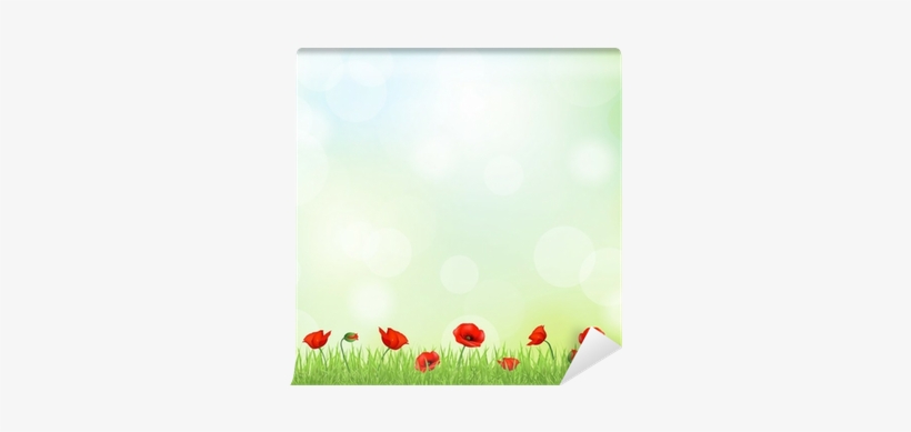 Poppy, transparent png