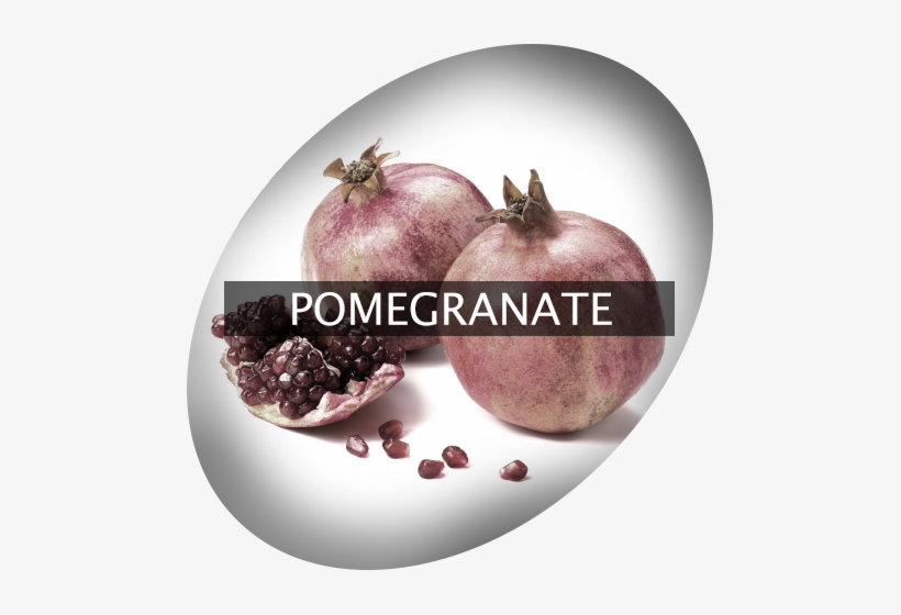 Landingimage Igrow Pomegranate - Scent Fill Pomegranate Verbena Plug In Refill, transparent png