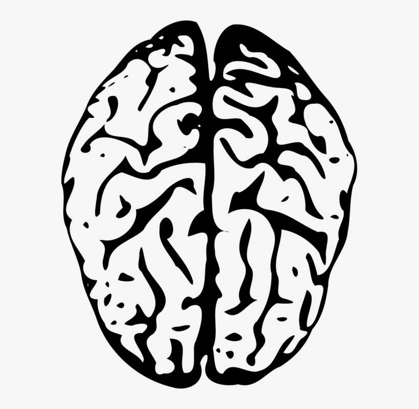 Animated Brain, transparent png