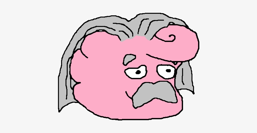 Most Of These Analyses Outline Anatomical Differences, transparent png