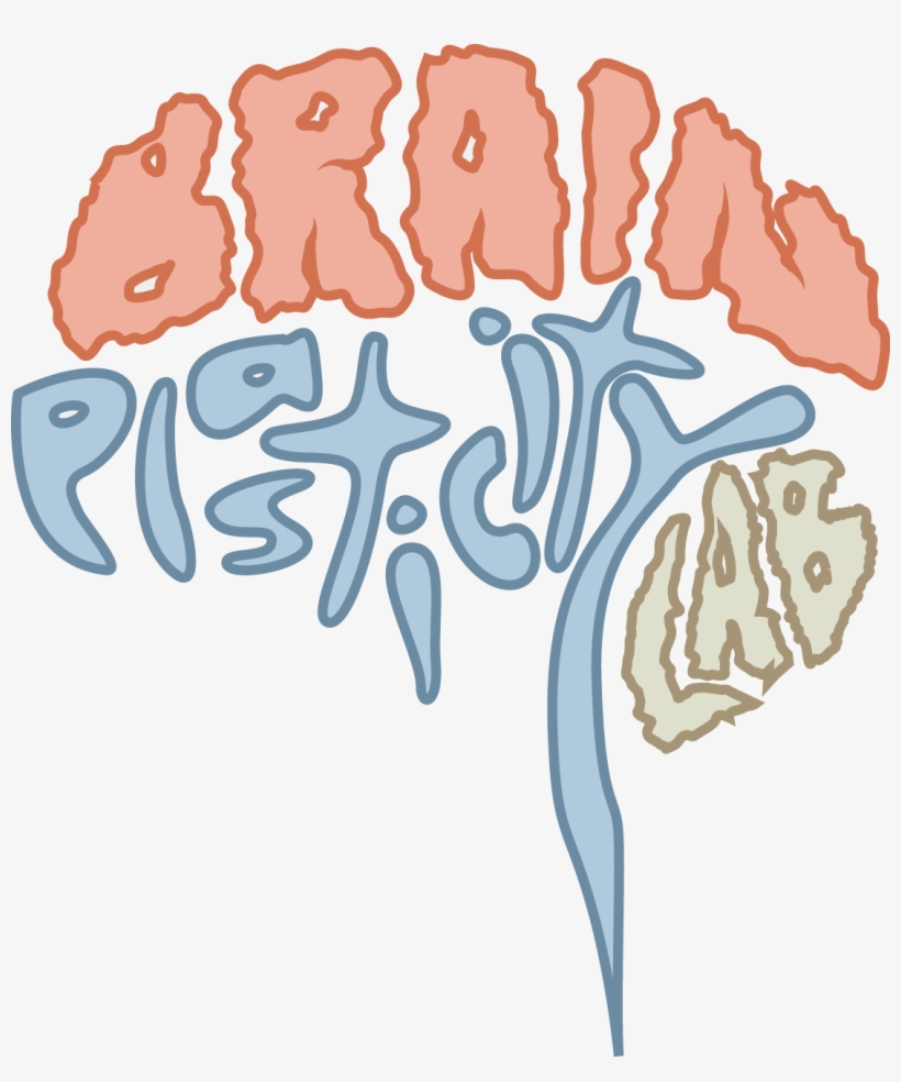 Brain Plasticity Clipart, transparent png