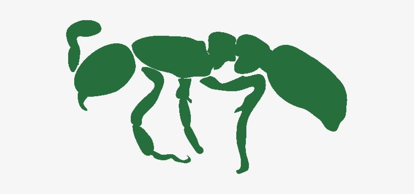 Sean Mckenzie - Illustration, transparent png