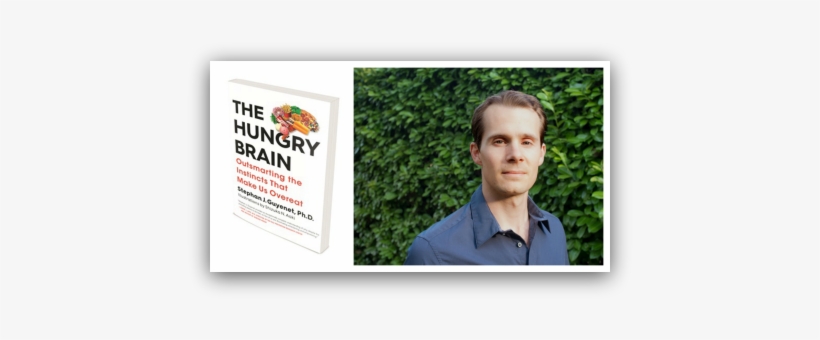 Here's The Outline Of This Interview With Stephan Guyenet - Hungry Brain: Outsmarting The Instincts That Make Us, transparent png