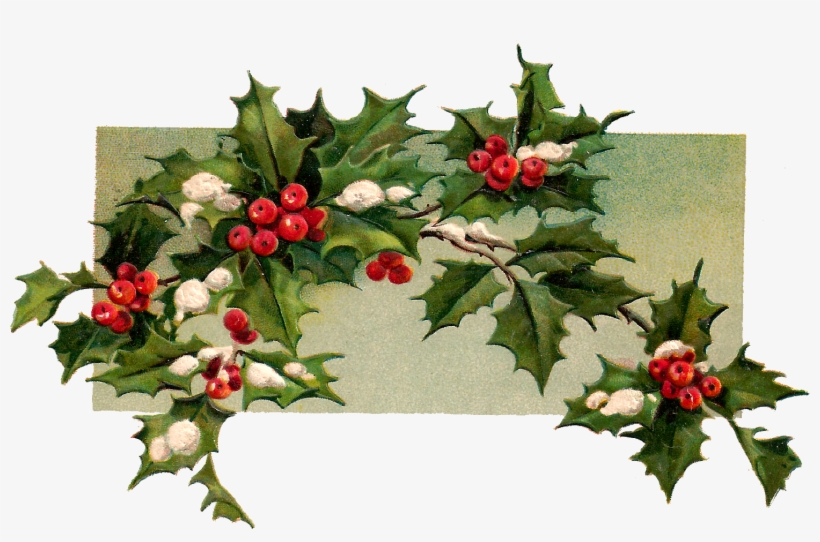 Digital Christmas Holly Download - Christmas Day, transparent png