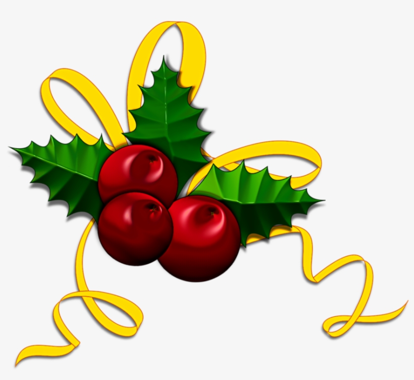 Christmas Holly - Illustration, transparent png
