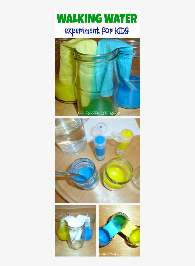 This Is An Interesting Way To Teach Your Child About - Child, transparent png