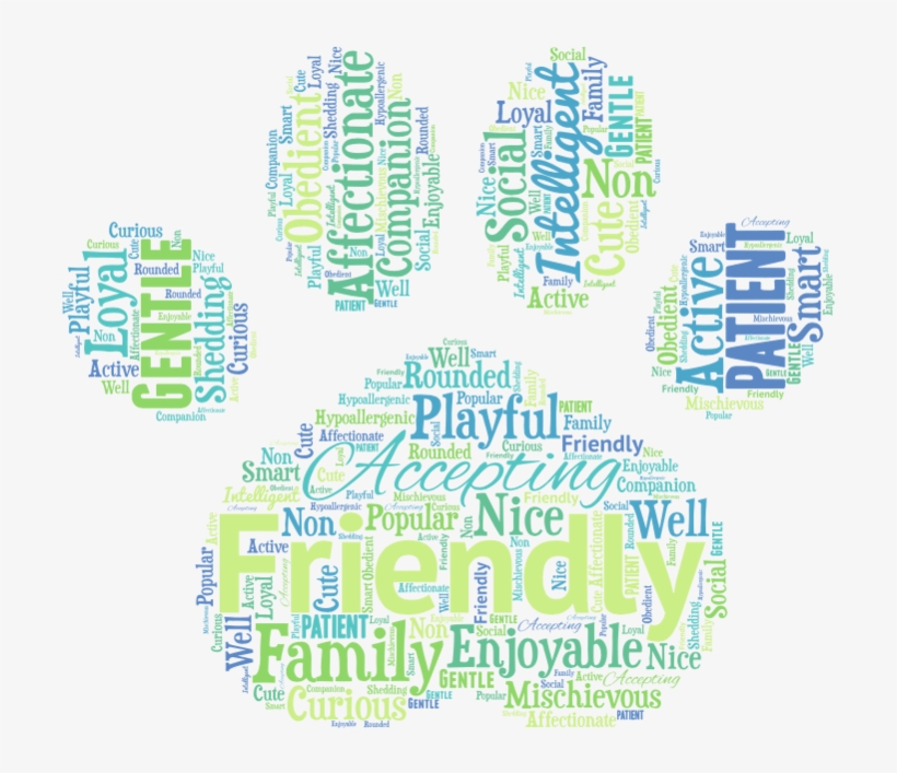 Goldendoodle Word Art - Art, transparent png