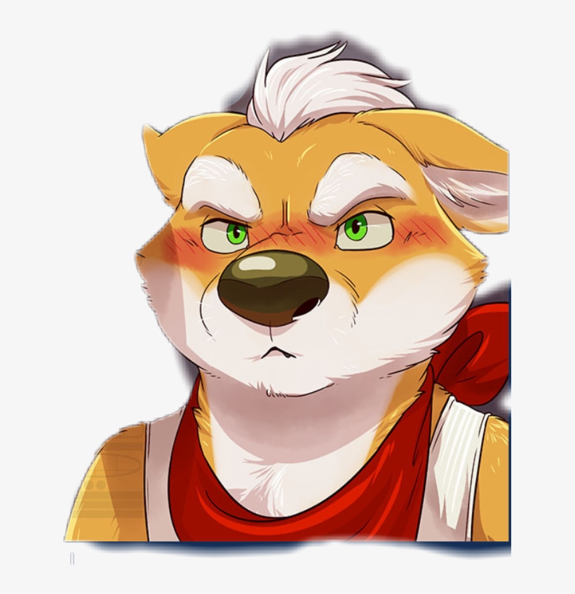 Fox Sticker - Photograph, transparent png
