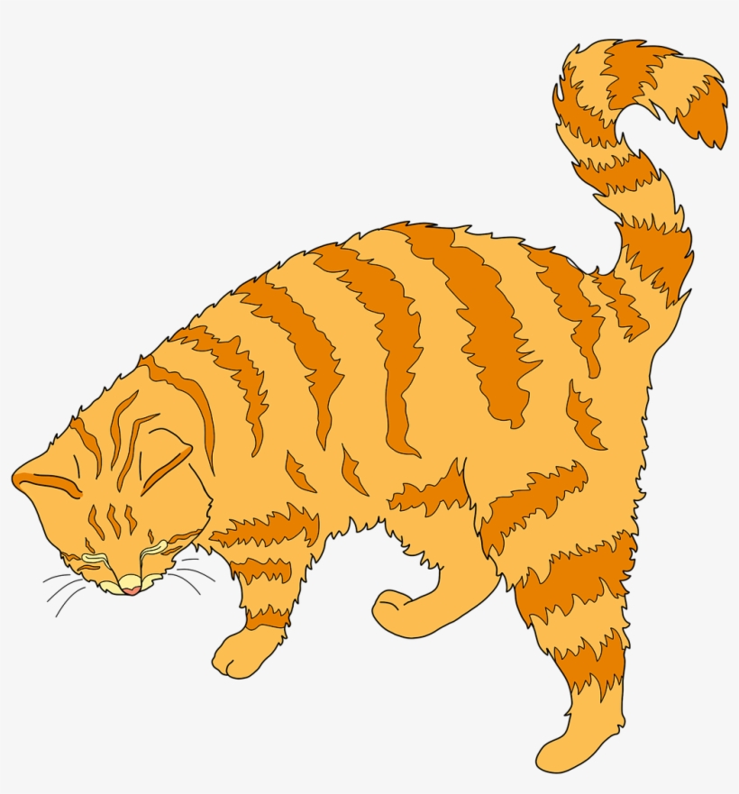 Cat Ginger Cat Cute Cat - Cat, transparent png