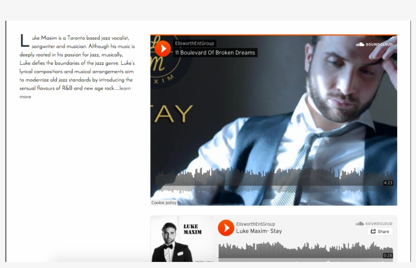 Reid Was Approached To Work For Ellsworth Entertainment - Online Advertising, transparent png