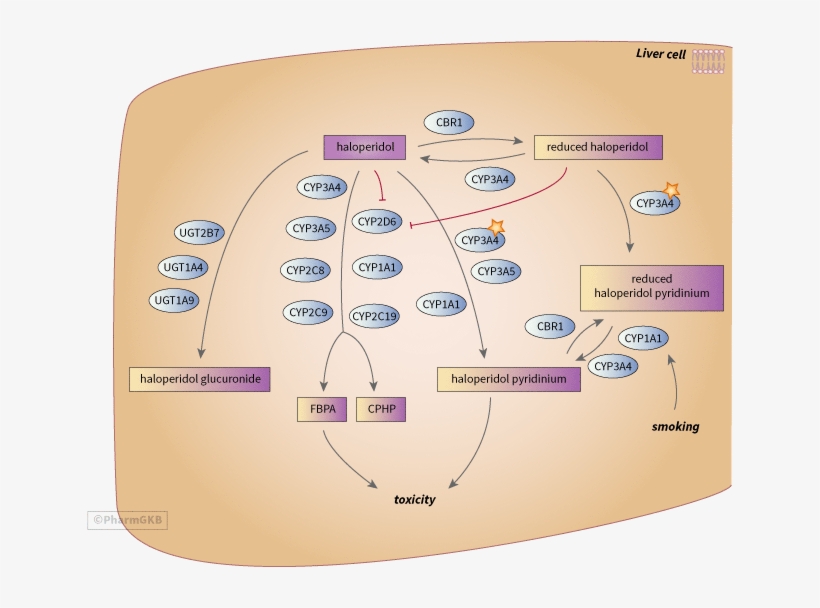 Promethazine 50 Mg Suppositories - Diagram, transparent png
