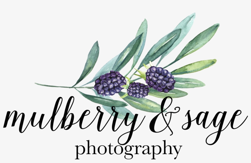 Mulberrysage Final Kimberly Paige Designs, transparent png