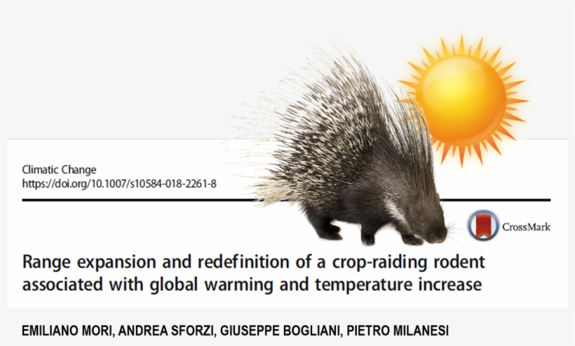 Emiliano Mori On Twitter - Risk, transparent png