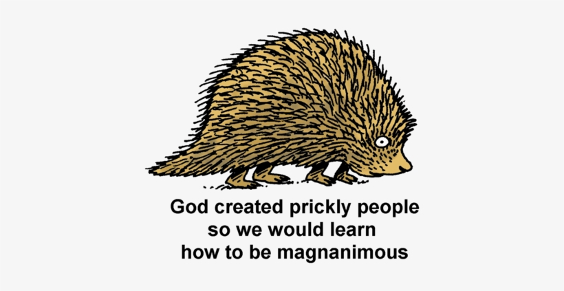 Porcupine - Domesticated Hedgehog, transparent png