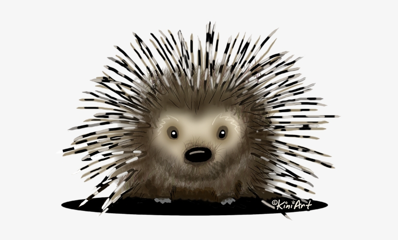Bleed Area May Not Be Visible - Porcupine Pillow Case, transparent png