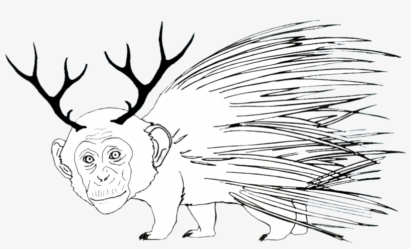 Monkey Deer Porcupine - Porcupine Monkey Deer, transparent png