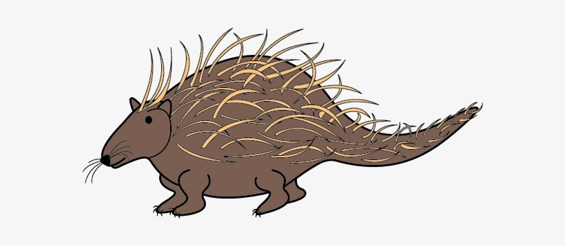 Porcupine - Illustration, transparent png