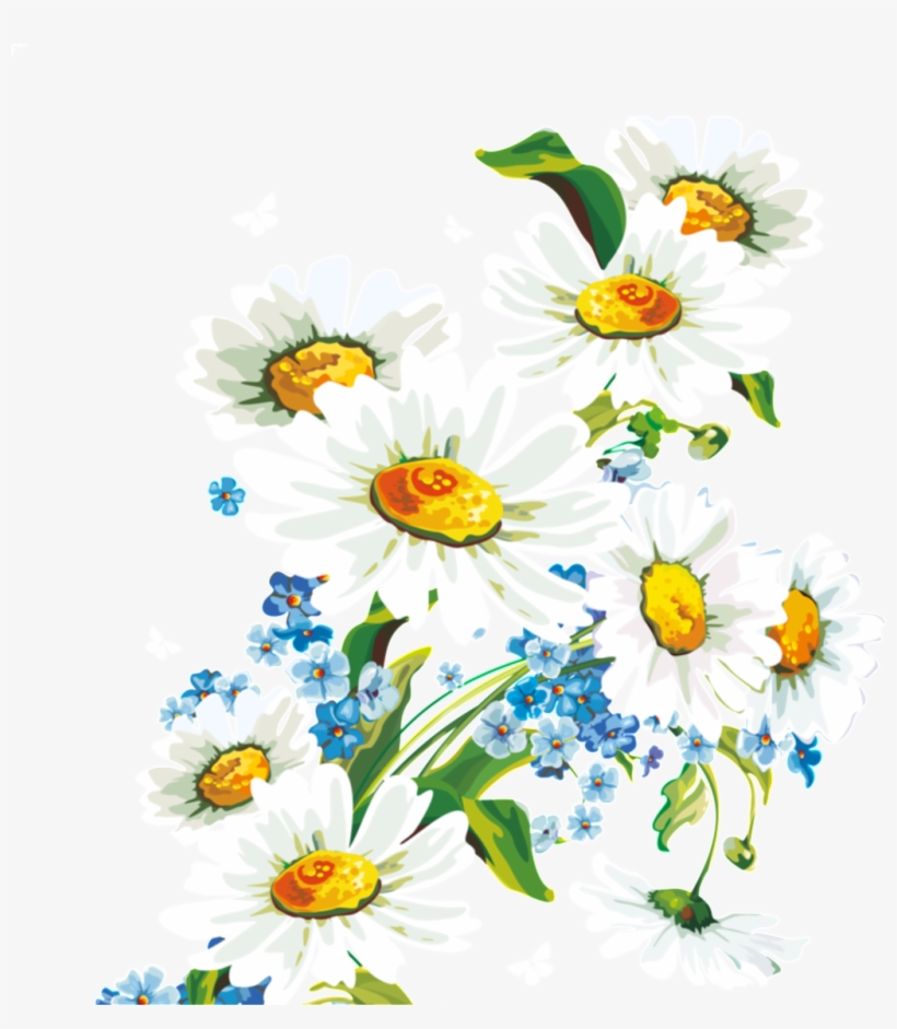 Fresh White Hand Drawn Chrysanthemum Decorative Elements - Fondos De Pantalla Dibujos De Flores Hd, transparent png