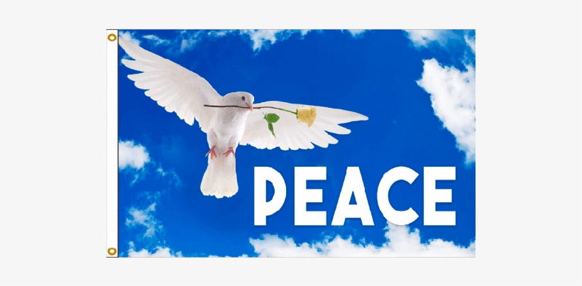 Peace Dove Flag - Peace Dove - 520x416 PNG Download - PNGkit