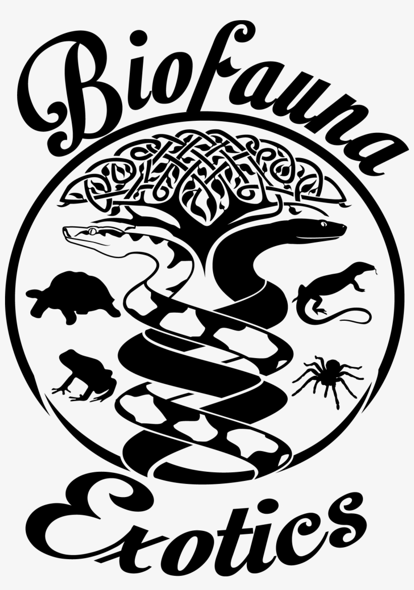 Graphic Library Library Biofauna S Shop Featuring Custom - Drawing, transparent png