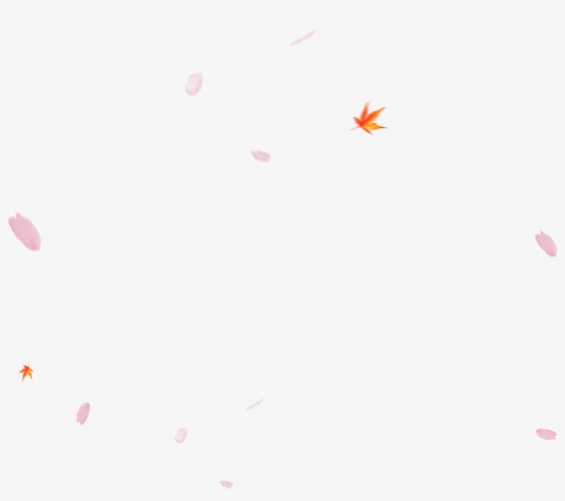 Cherry Blossom And Maple Leaf Were Encrusted Over The - Balloon, transparent png
