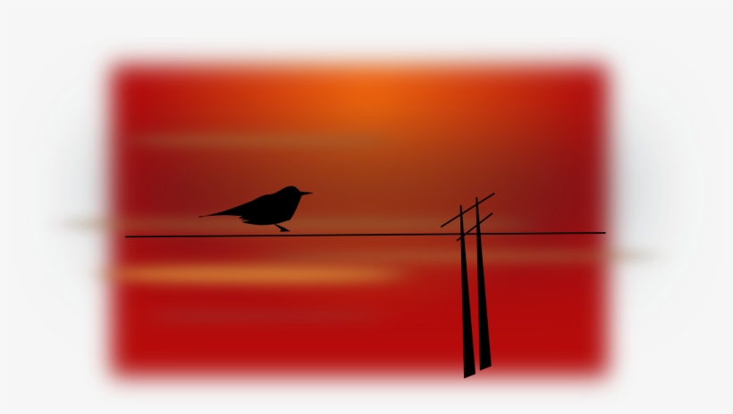 Bird Scenery Silhouette Sky Sunset - Bird Scenery Vector, transparent png