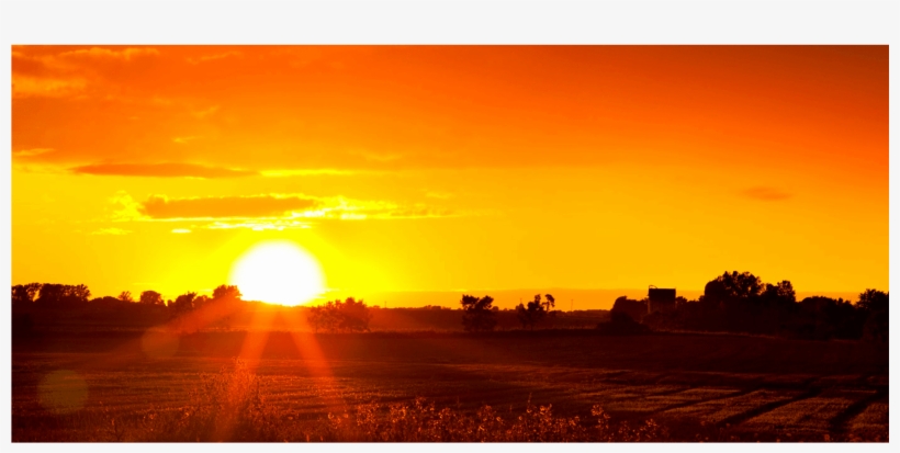 Animal Hospital In Roswell, Nm - New Mexico, transparent png