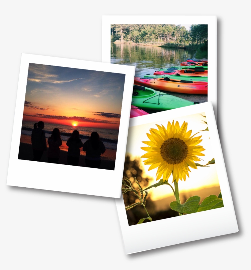 Tansey Warner Relaty Teams Up With Chamber To Host - Zazzle Sonnenblume-notizbuch Spiral Notizblock, transparent png