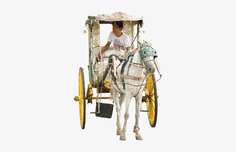 Parent Category - Driver Horse Png, transparent png