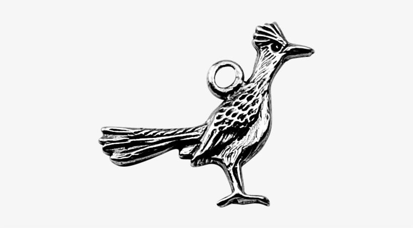 Roadrunner, transparent png