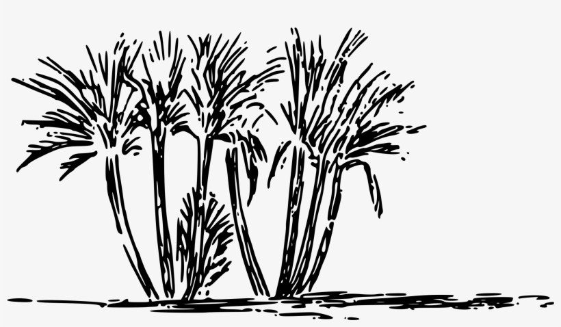 This Free Icons Png Design Of Tree Clump, transparent png