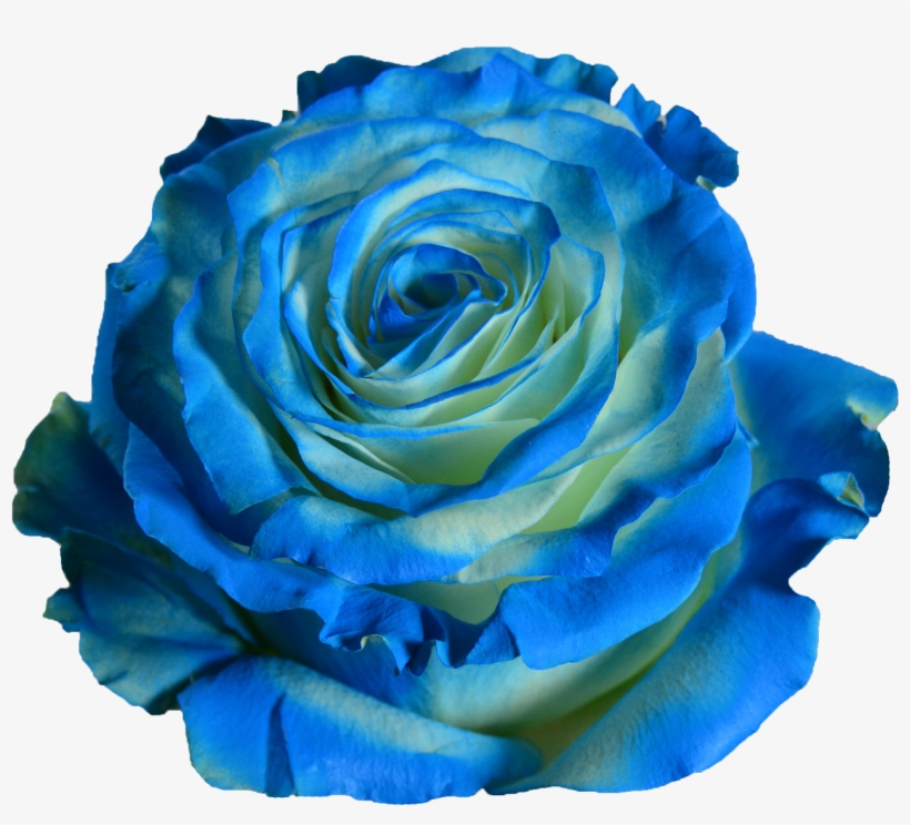 Blue Wave - Blue, transparent png