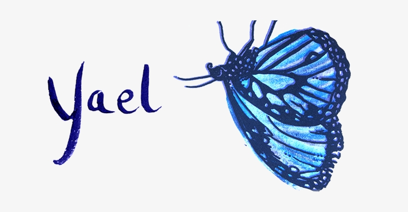 Leah Yael Levy - Lycaenid, transparent png
