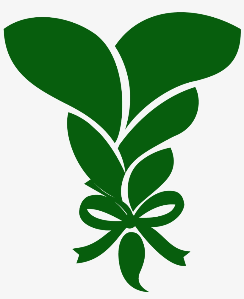 90-day Beardson Challenge - Tropical Rainforest Conservation, transparent png