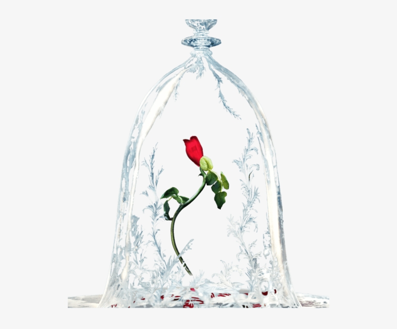 Website, transparent png