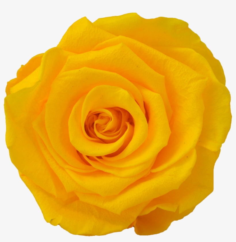 Nine Rose Cube - Five Roses Flour, transparent png