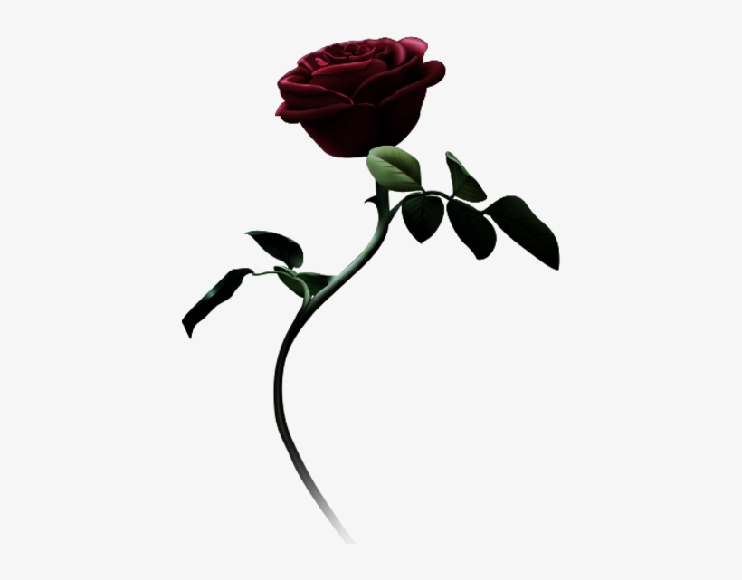 Beauty And The Beast Logo - Garden Roses, transparent png