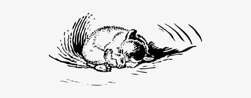 Bear Hibernating Black White, transparent png
