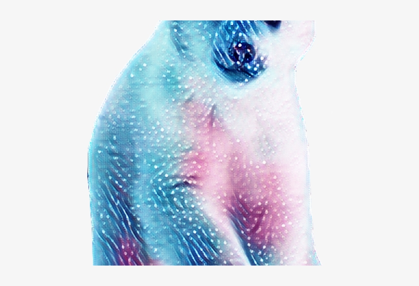 Picsart Photo Studio, transparent png