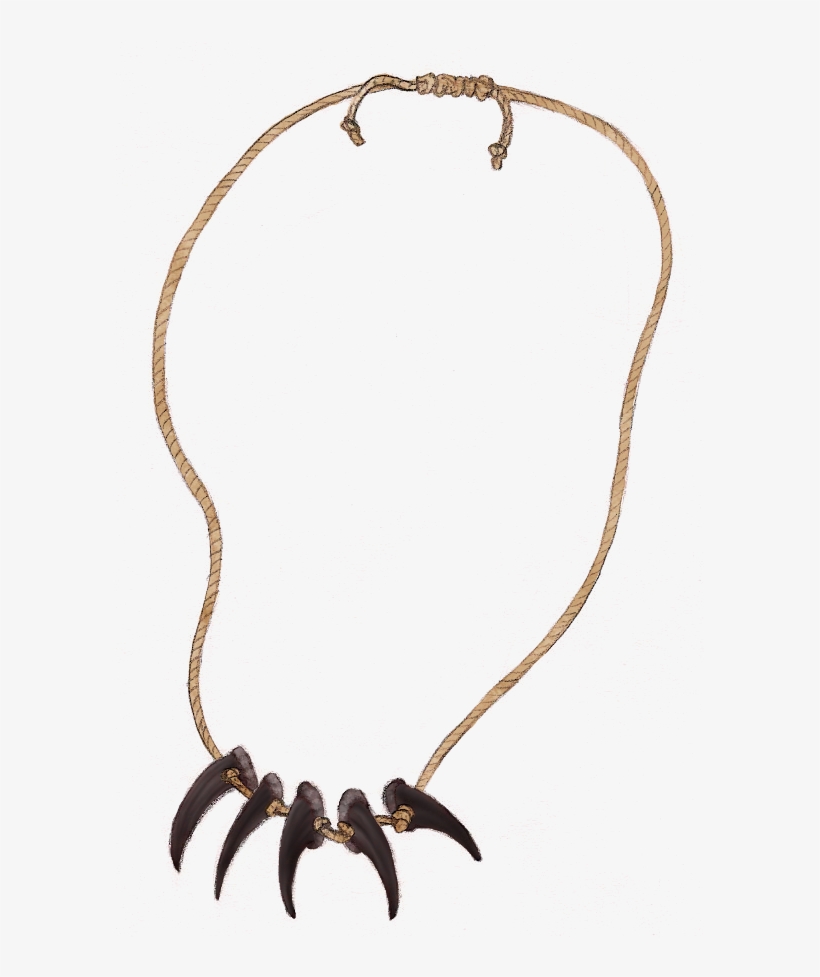 Bear Claw Necklace Bear Claw Necklace, Black Bear, - Necklace, transparent png