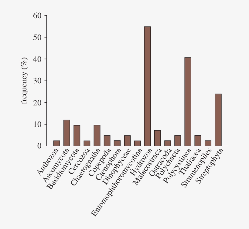 Frequency Of Prey Taxa In Guts Of 42 Larvae Of A - Frequency, transparent png