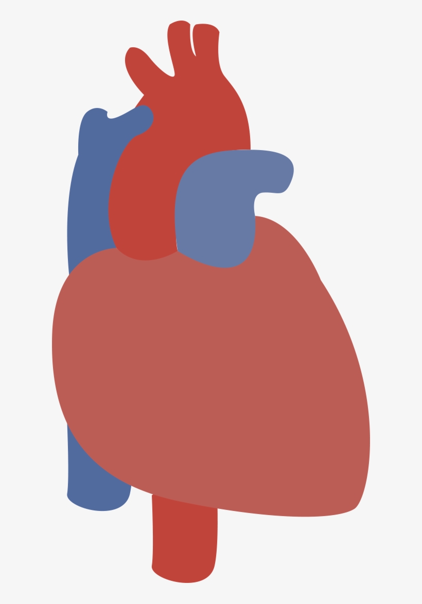 Download Heart ▽, transparent png