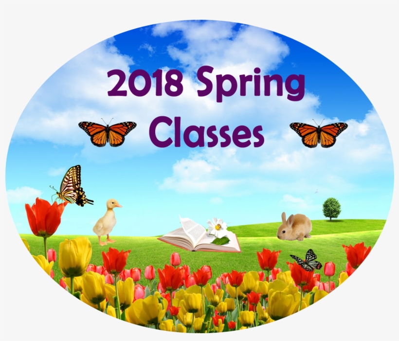 Spring Background - Maravilhoso Domingo, transparent png
