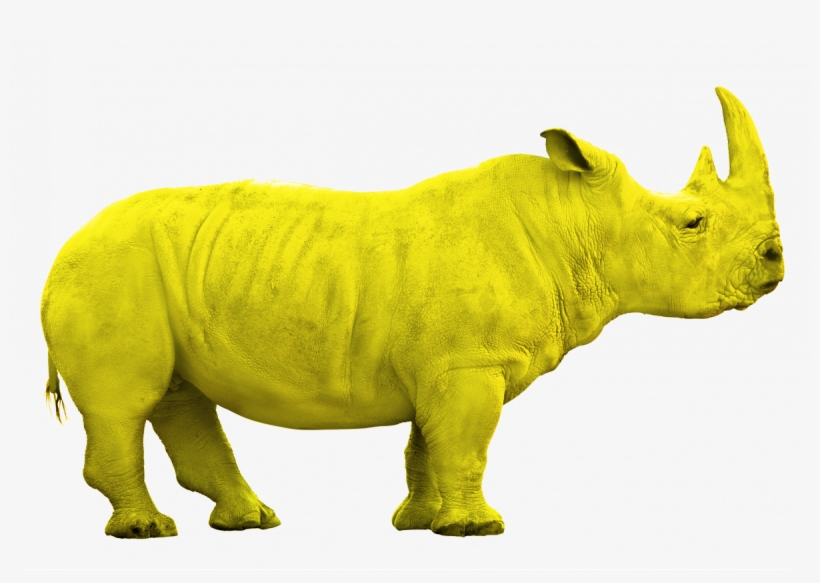 Rhino Jaune Png - Animals With White Background, transparent png