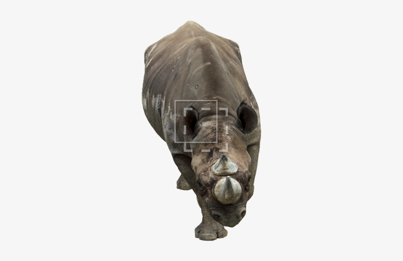 Parent Category - Sculpture Front View Png, transparent png