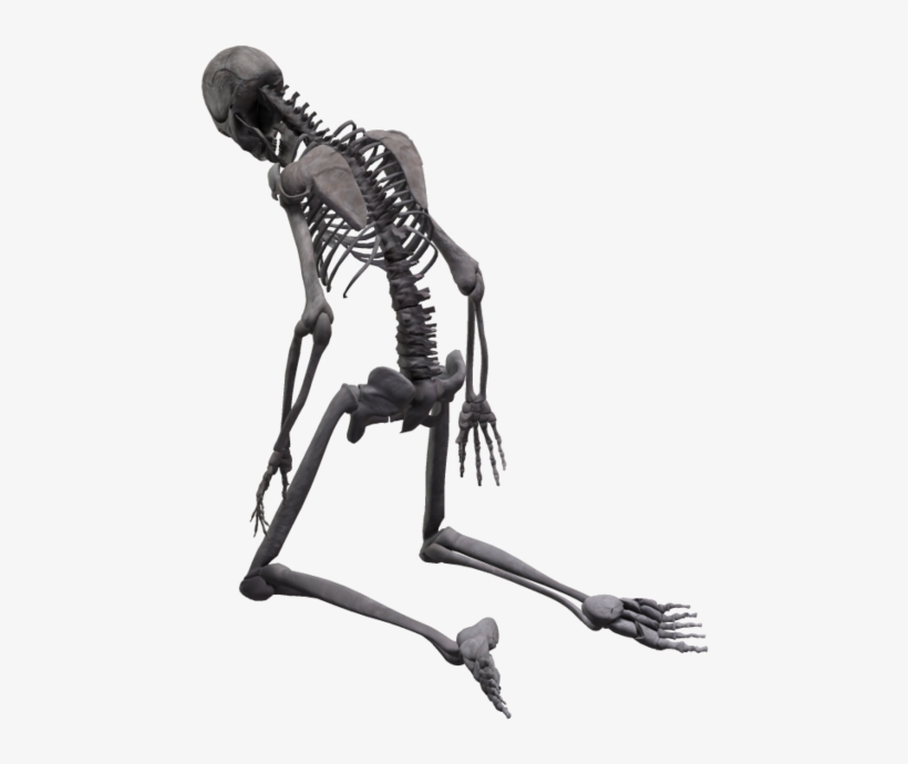 People Skeleton Pngimg004 Load20180523 Transparent - Bones Go Snap Snap, transparent png