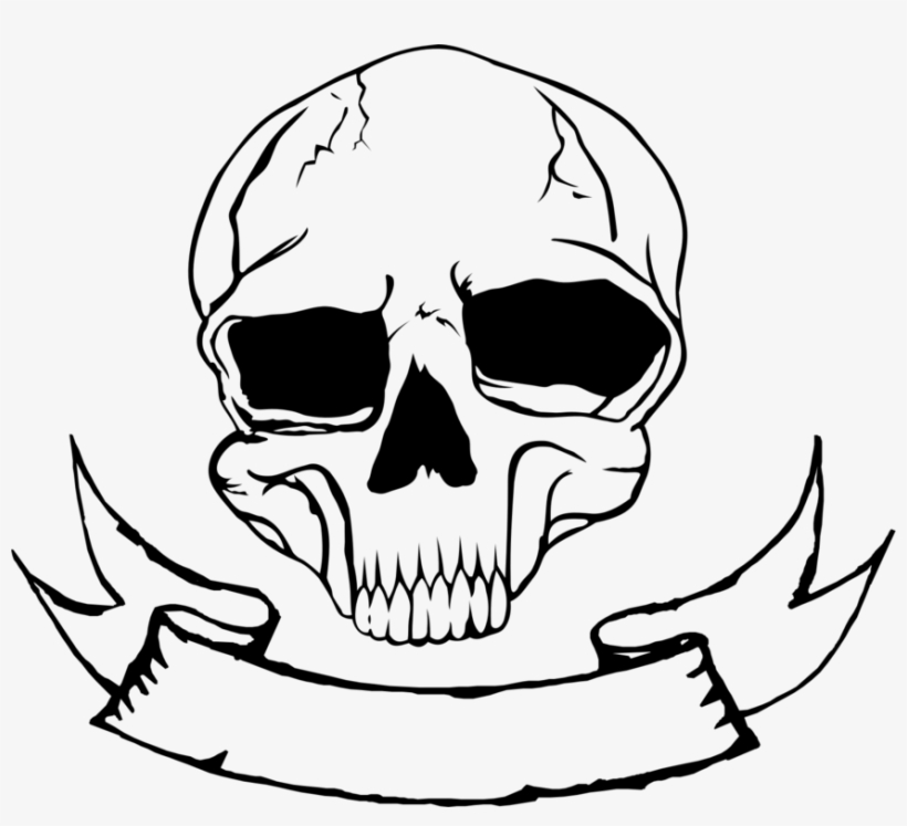 Skull Nose Human Skeleton Bone Free Commercial Clipart - Skull, transparent png